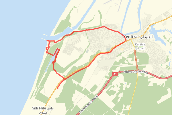 42,03km Road Cycling