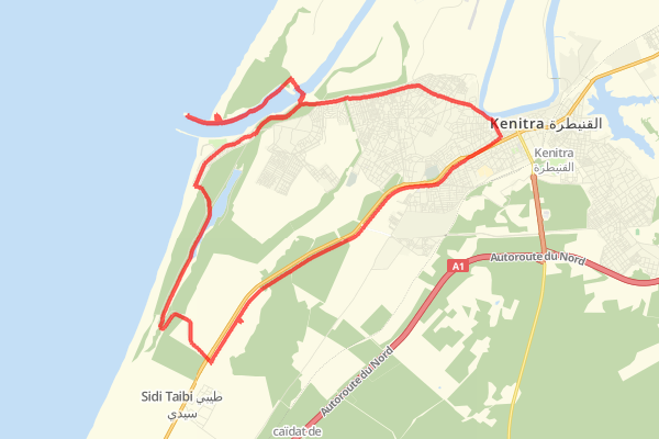 41,94km Road Cycling