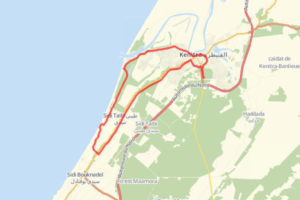 50,09km Road Cycling